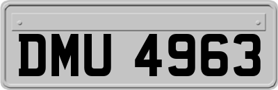 DMU4963