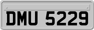 DMU5229