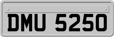 DMU5250
