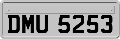 DMU5253