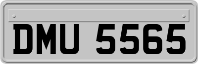 DMU5565