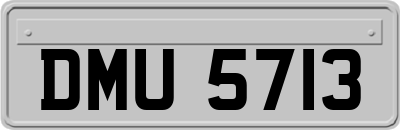 DMU5713