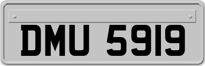 DMU5919