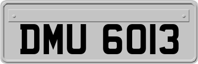 DMU6013