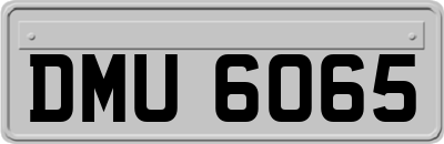 DMU6065