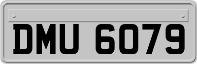 DMU6079