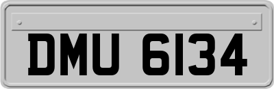 DMU6134