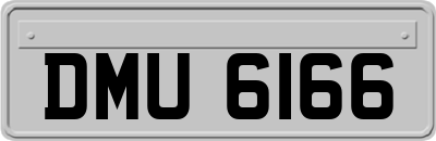 DMU6166