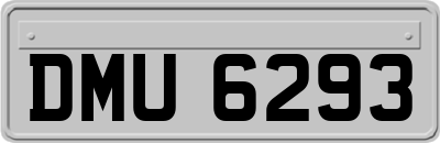 DMU6293