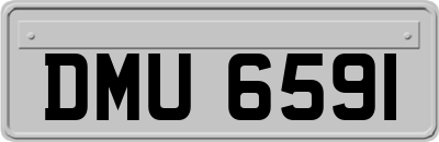 DMU6591