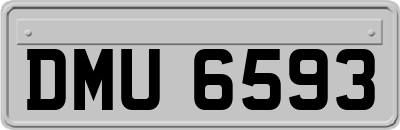 DMU6593
