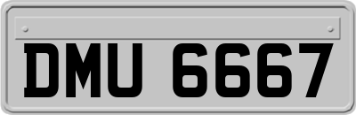 DMU6667