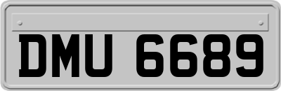 DMU6689