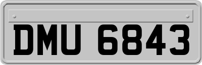 DMU6843