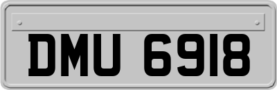 DMU6918