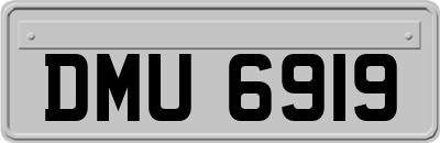 DMU6919