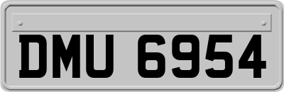 DMU6954