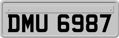 DMU6987