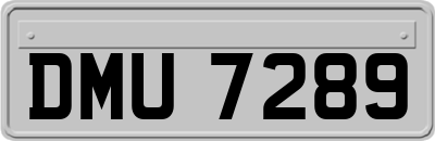 DMU7289
