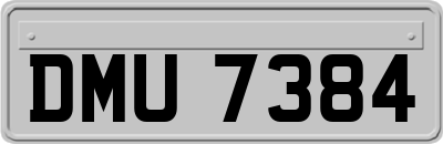 DMU7384