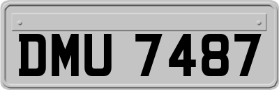 DMU7487