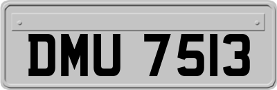 DMU7513