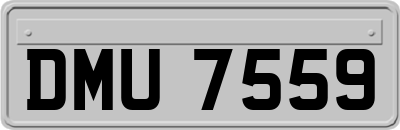 DMU7559