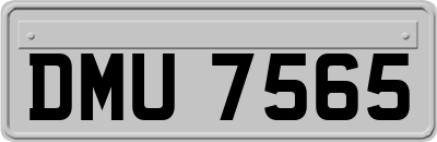 DMU7565