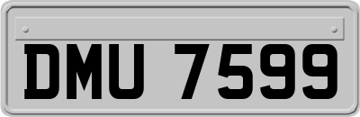 DMU7599