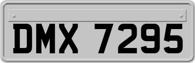 DMX7295