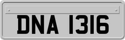 DNA1316
