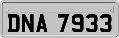 DNA7933