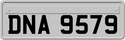 DNA9579