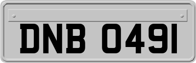DNB0491