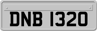 DNB1320