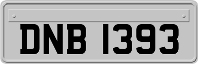 DNB1393