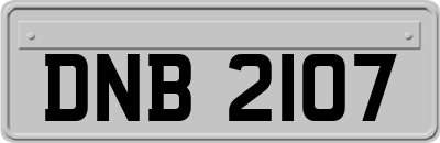 DNB2107