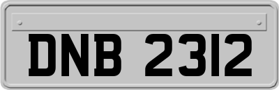 DNB2312