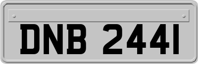 DNB2441