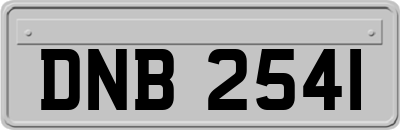 DNB2541