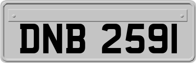 DNB2591