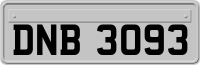 DNB3093