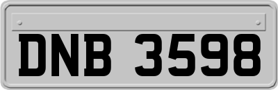 DNB3598