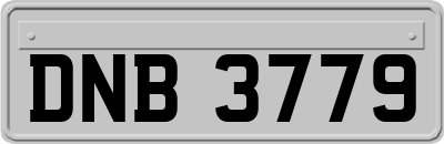 DNB3779