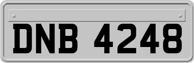 DNB4248