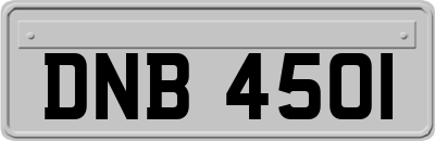 DNB4501