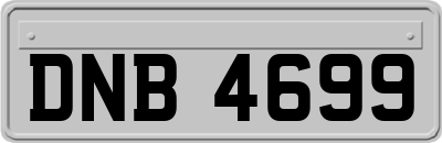 DNB4699