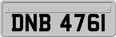 DNB4761