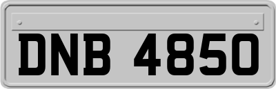 DNB4850