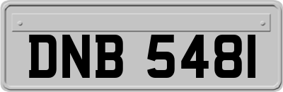 DNB5481